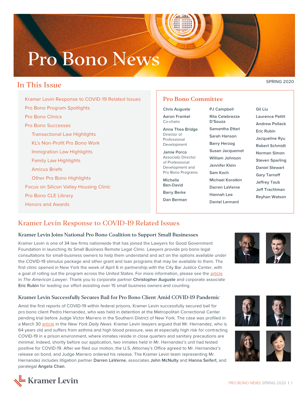 Pro Bono News