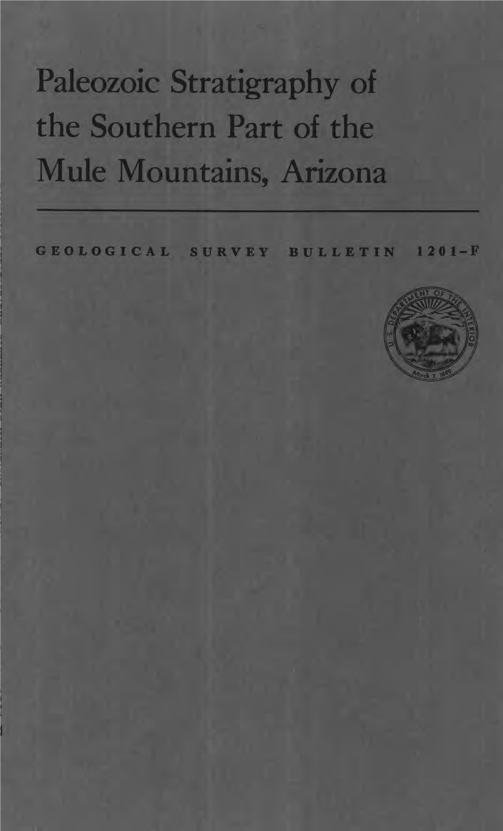 Paleozoic Stratigraphy of the Southern Part of the Mule Mountains, Arizona