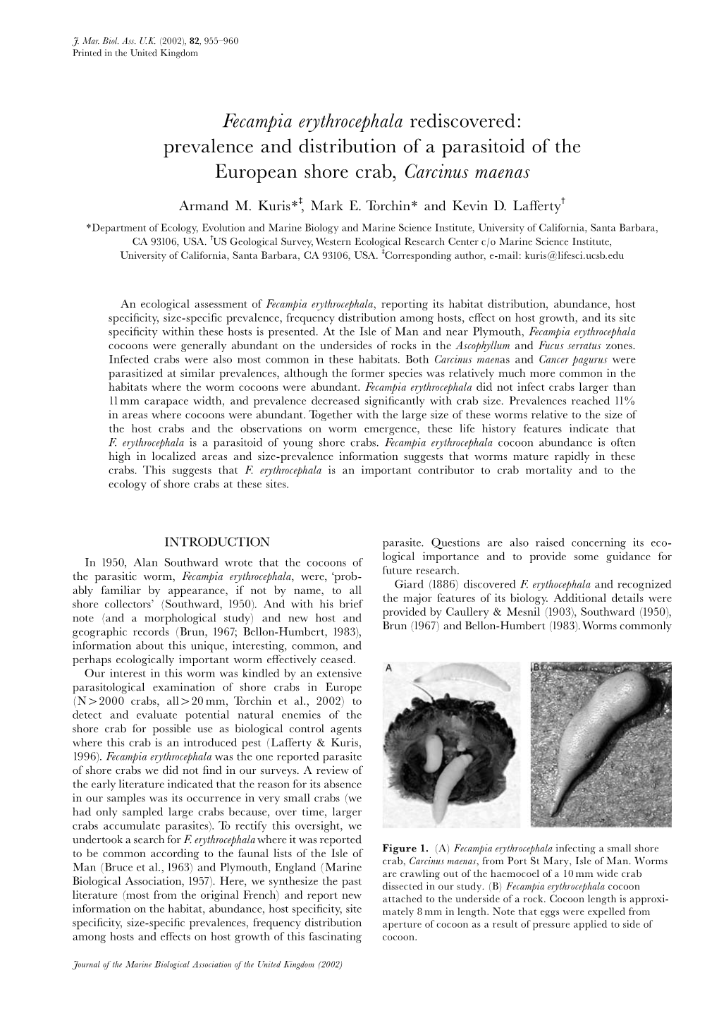 Fecampia Erythrocephala Rediscovered: Prevalence and Distribution of a Parasitoid of the European Shore Crab, Carcinus Maenas