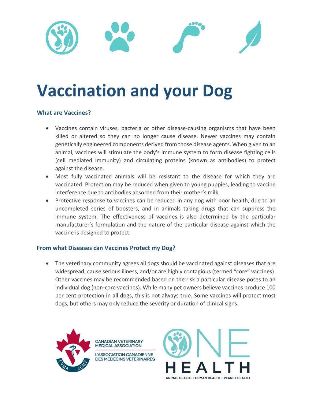 Vaccination and Your Dog