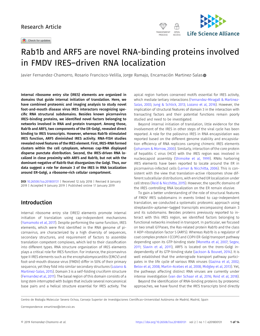 Rab1b and ARF5 Are Novel RNA-Binding Proteins Involved in FMDV IRES–Driven RNA Localization