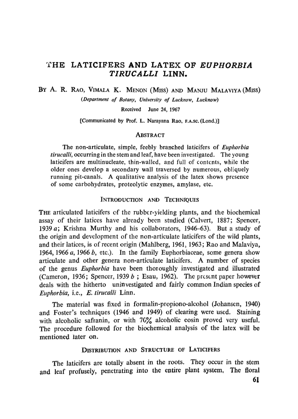 The Laticifers and Latex of <Emphasis Type=