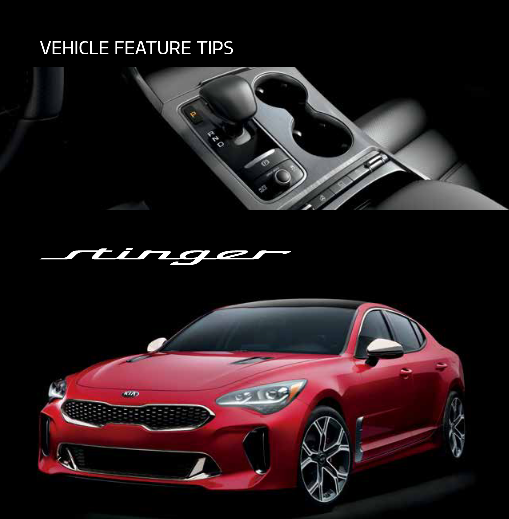2019 Stinger Vehicle Feature Tips