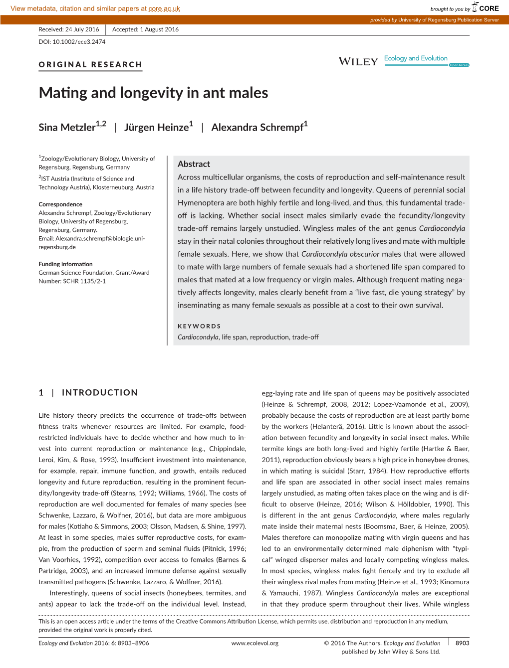 Mating and Longevity in Ant Males