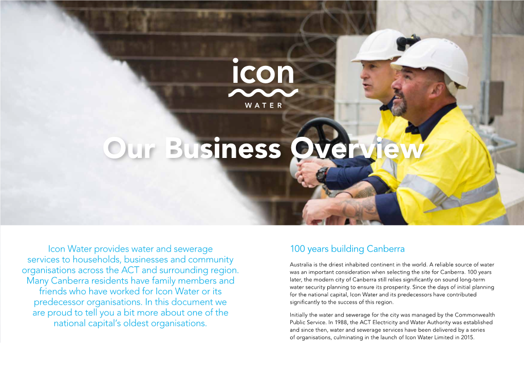 Our Business Overview