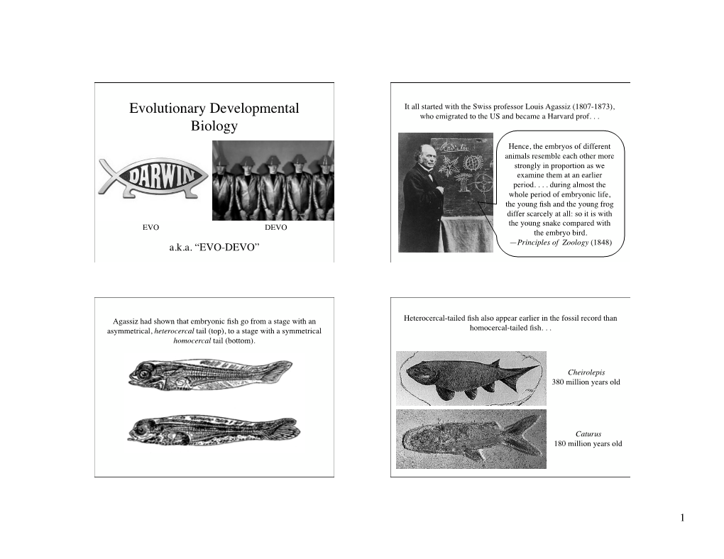 Evolutionary Developmental Biology