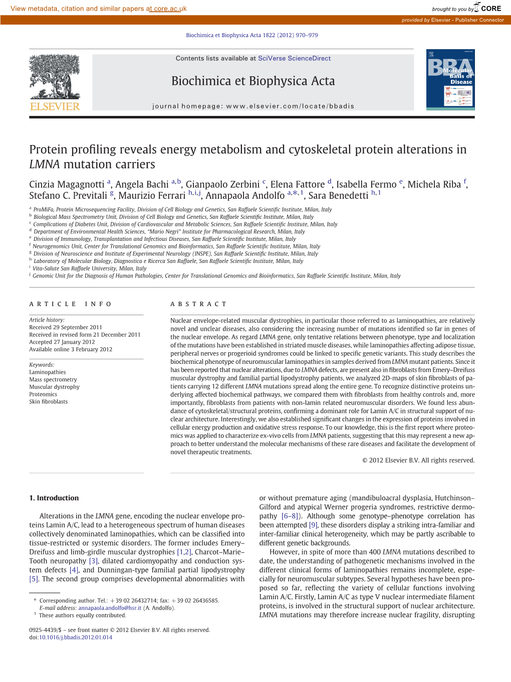 Protein Profiling Reveals Energy Metabolism and Cytoskeletal Protein