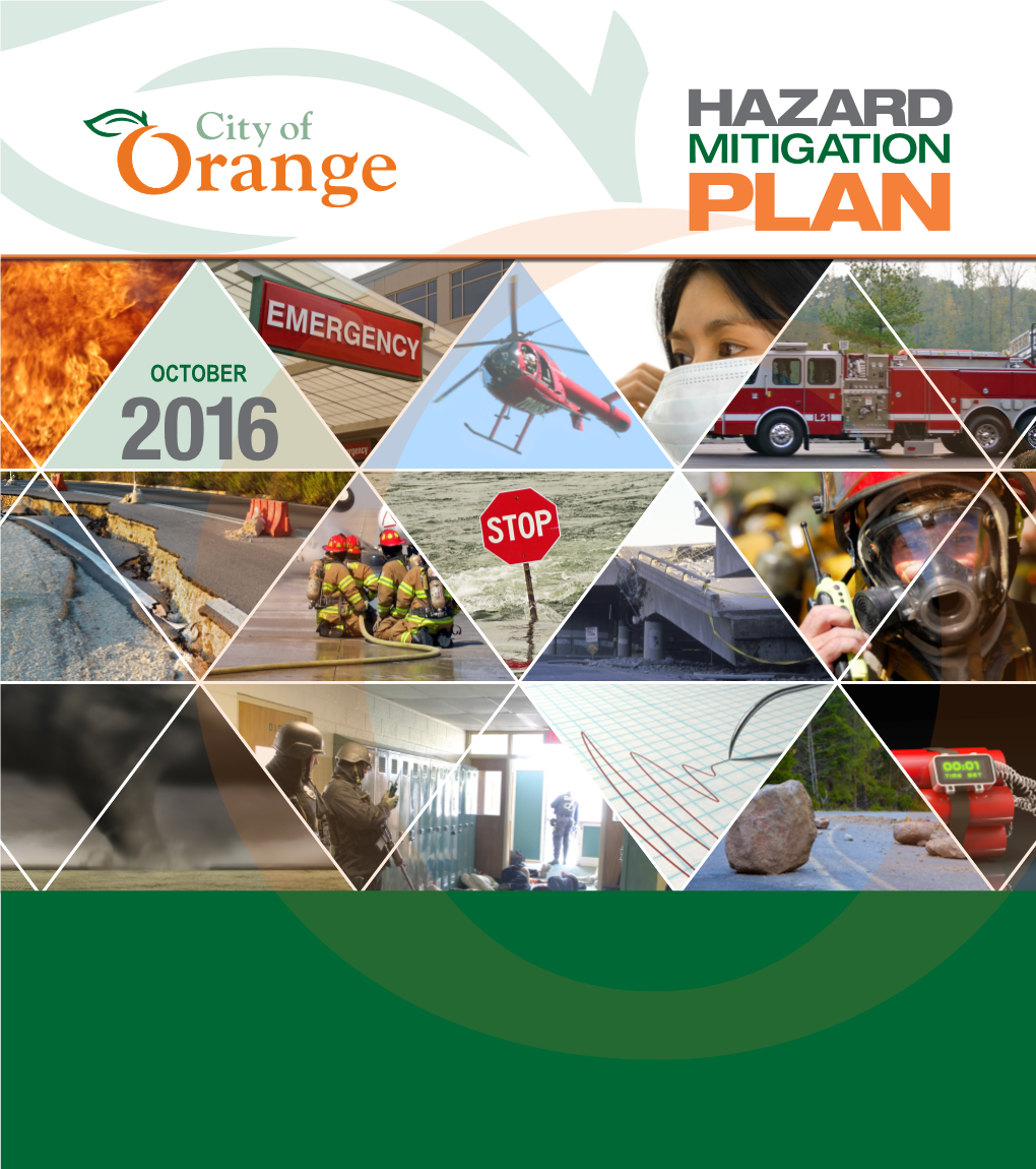 Hazard Mitigation Plan