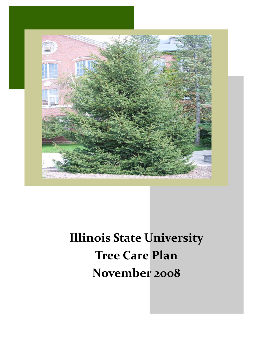 Illinois State University Tree Care Plan November 2008 II