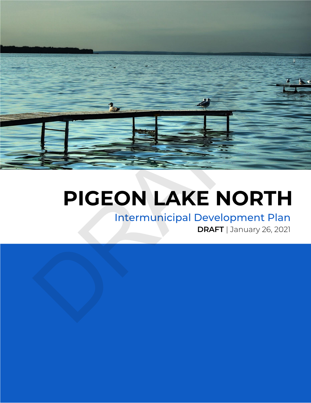 PIGEON LAKE NORTH Intermunicipal Development Plan DRAFT | January 26, 2021