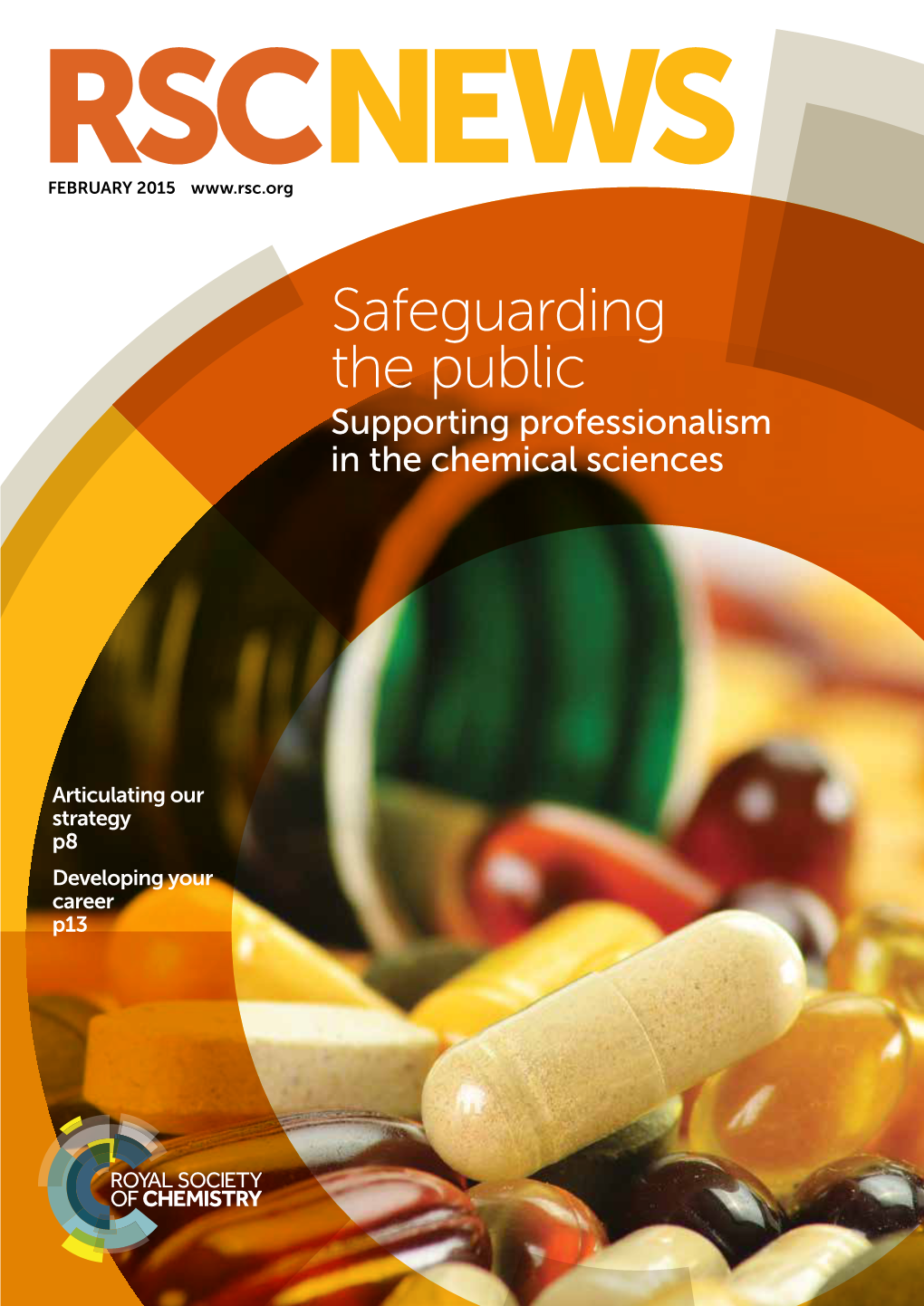 Safeguarding the Public Supporting Professionalism in the Chemical Sciences