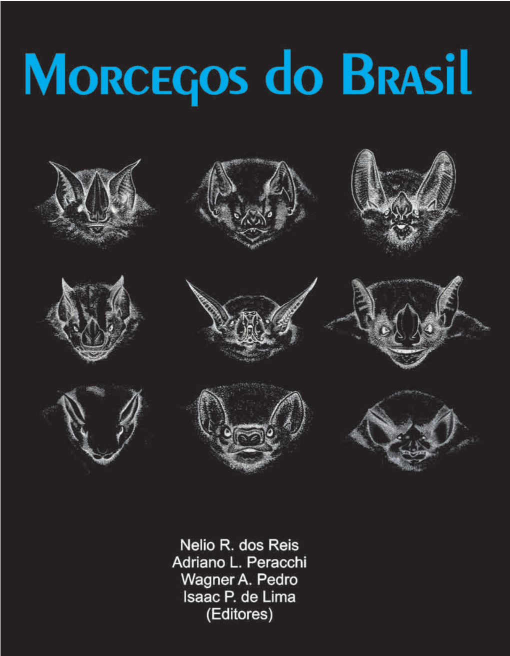 Morcegos Do Brasil