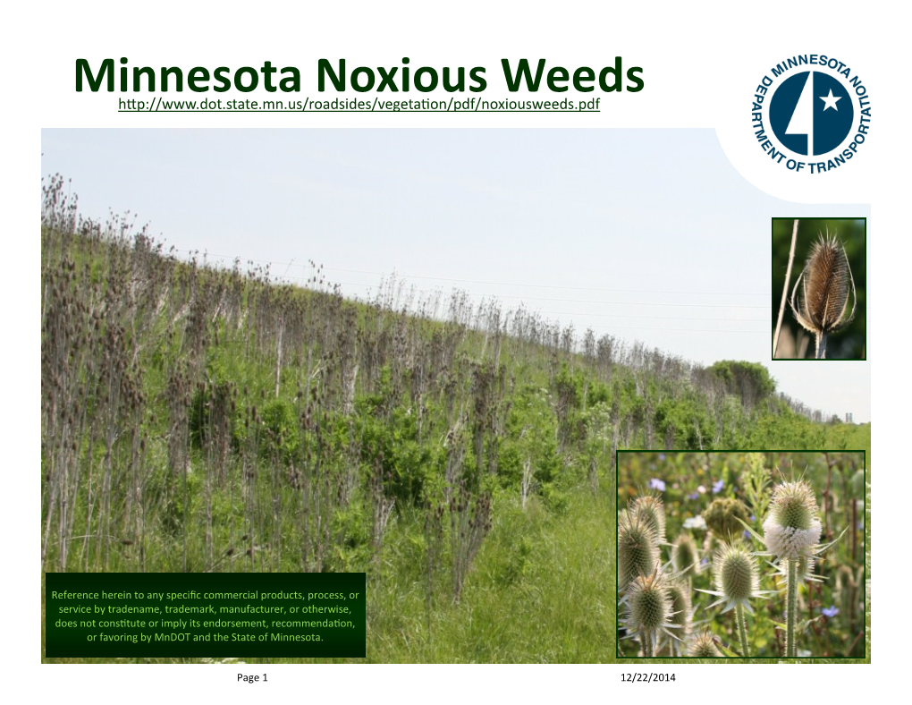 Minnesota Noxious Weeds