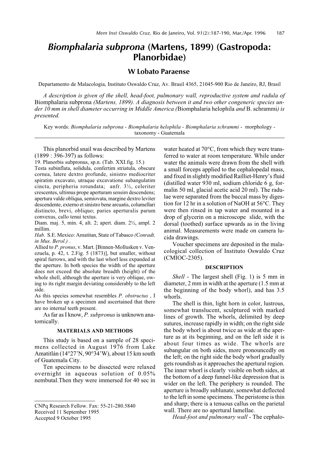 Biomphalaria Subprona (Martens, 1899) (Gastropoda: Planorbidae) W Lobato Paraense Departamento De Malacologia, Instituto Oswaldo Cruz, Av
