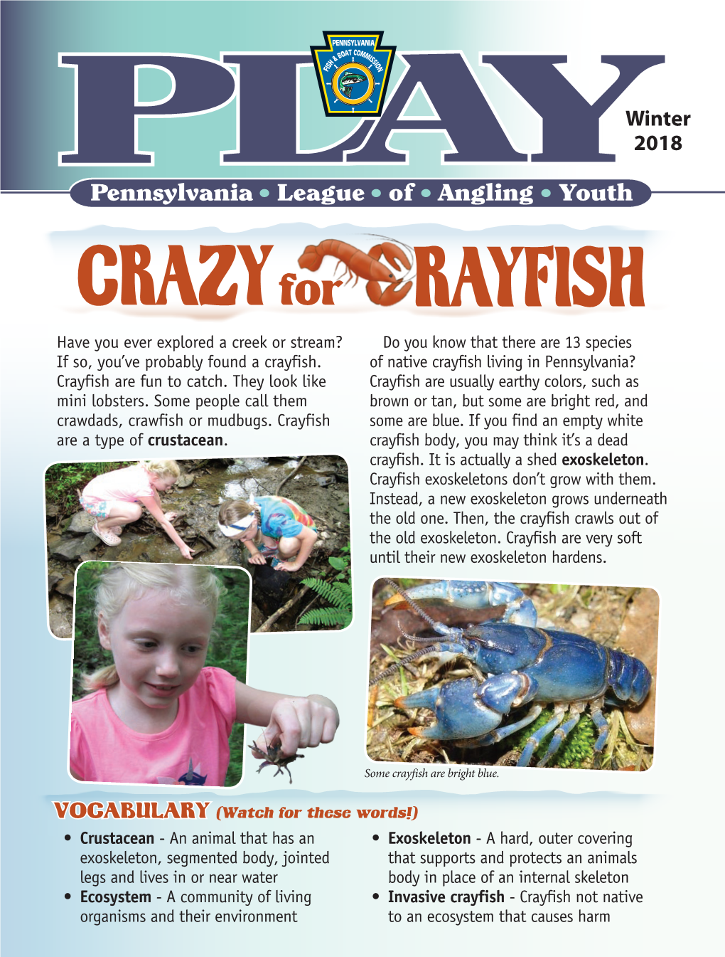 Crazy Crayfish