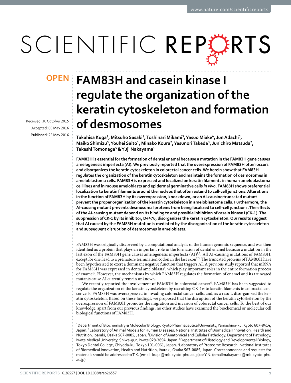FAM83H and Casein Kinase I Regulate the Organization of the Keratin