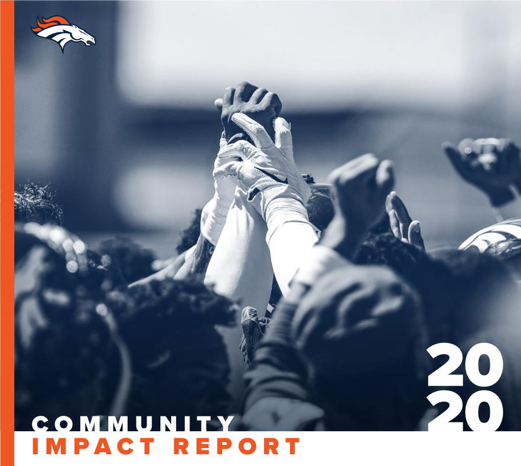 Community Impact Report Mission Statement