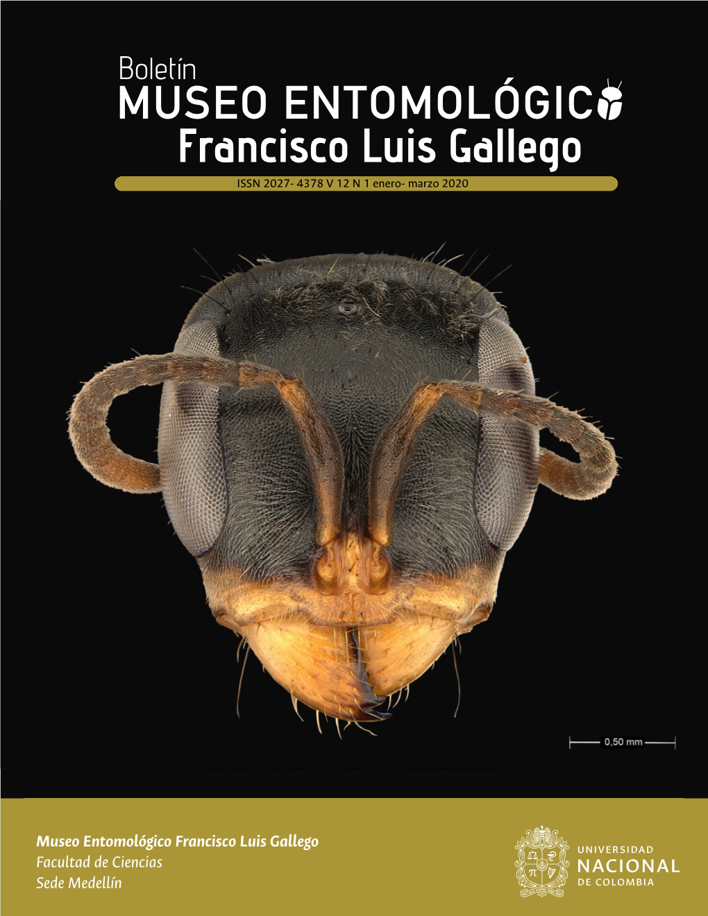 Del Museo Entomológico Francisco Luis Gallego Bol.Mus.Entomol.Francisco Luis Gallego