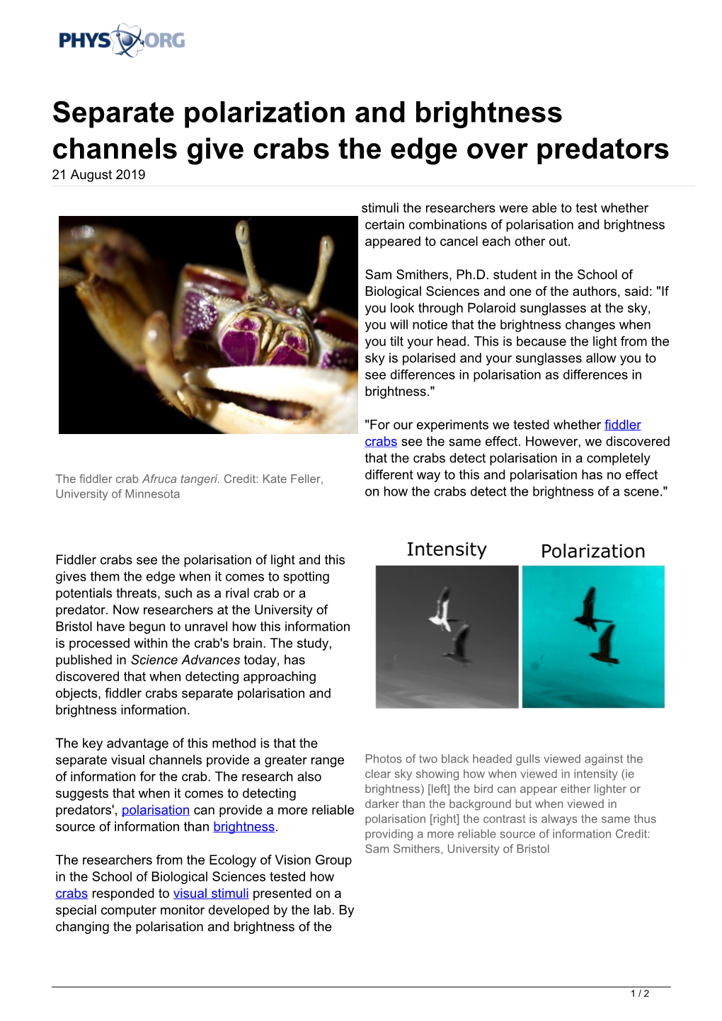 Separate Polarization and Brightness Channels Give Crabs the Edge Over Predators 21 August 2019