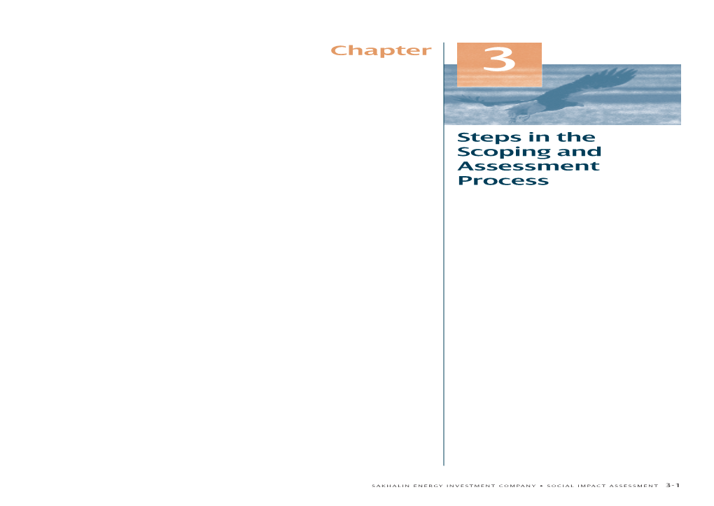 Steps in the Scoping and Assessment Process