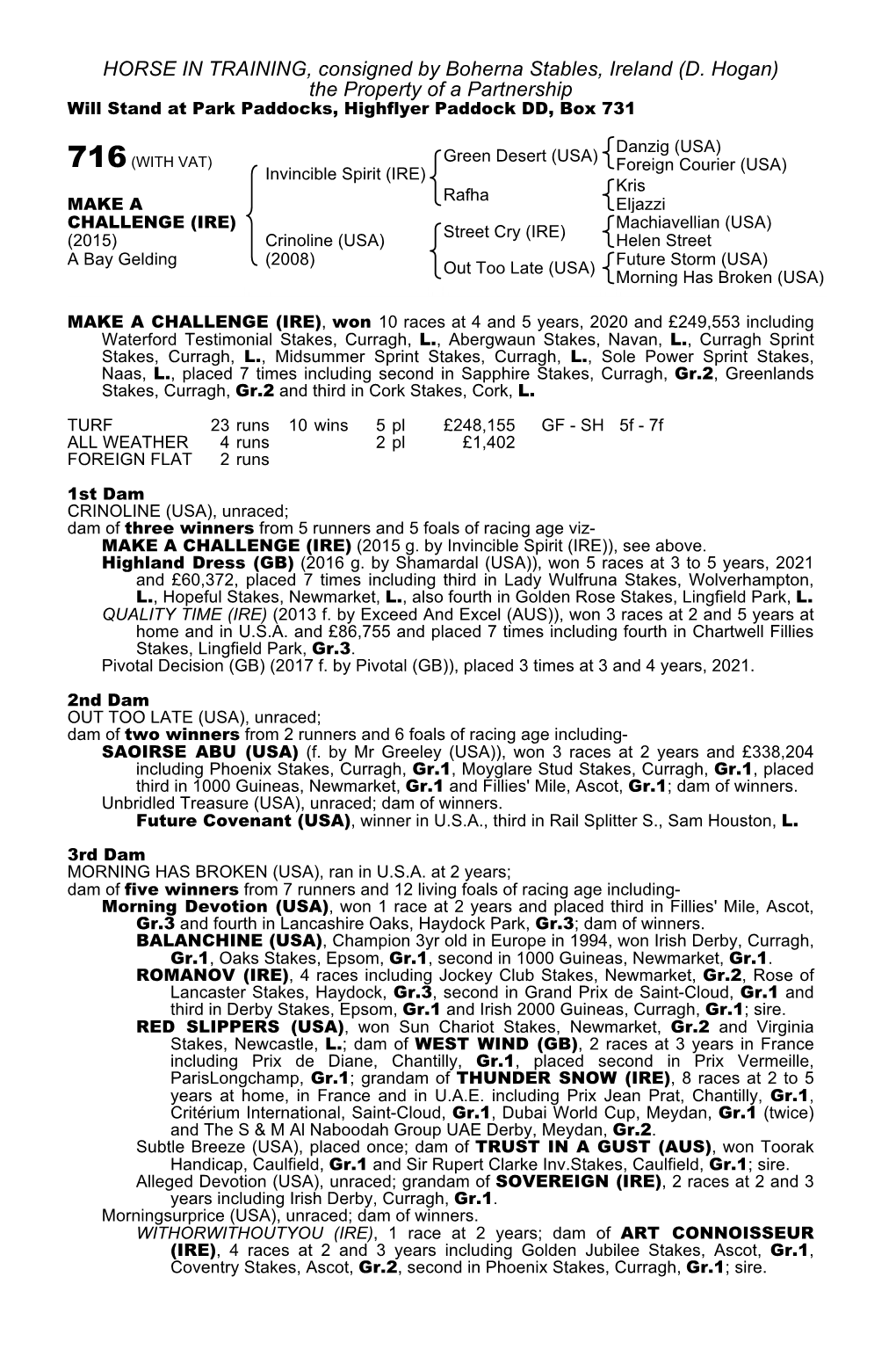 HORSE in TRAINING, Consigned by Boherna Stables, Ireland (D