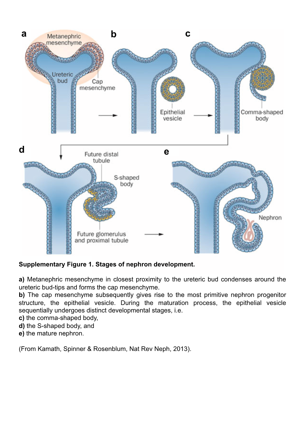 Supplemental Data