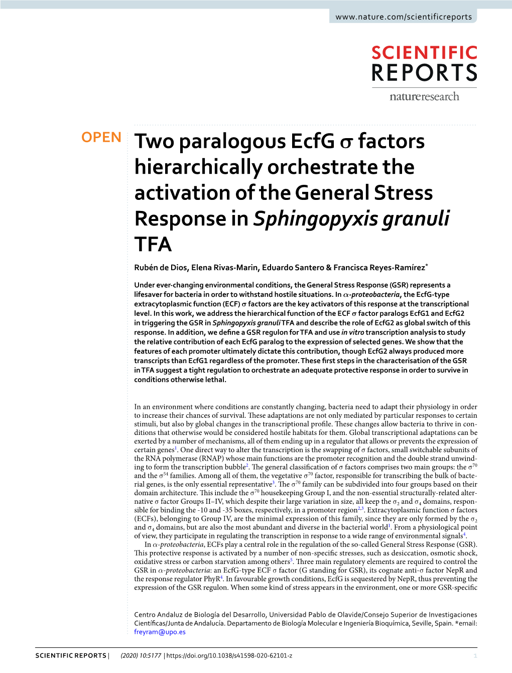Two Paralogous Ecfg Σ Factors Hierarchically Orchestrate The