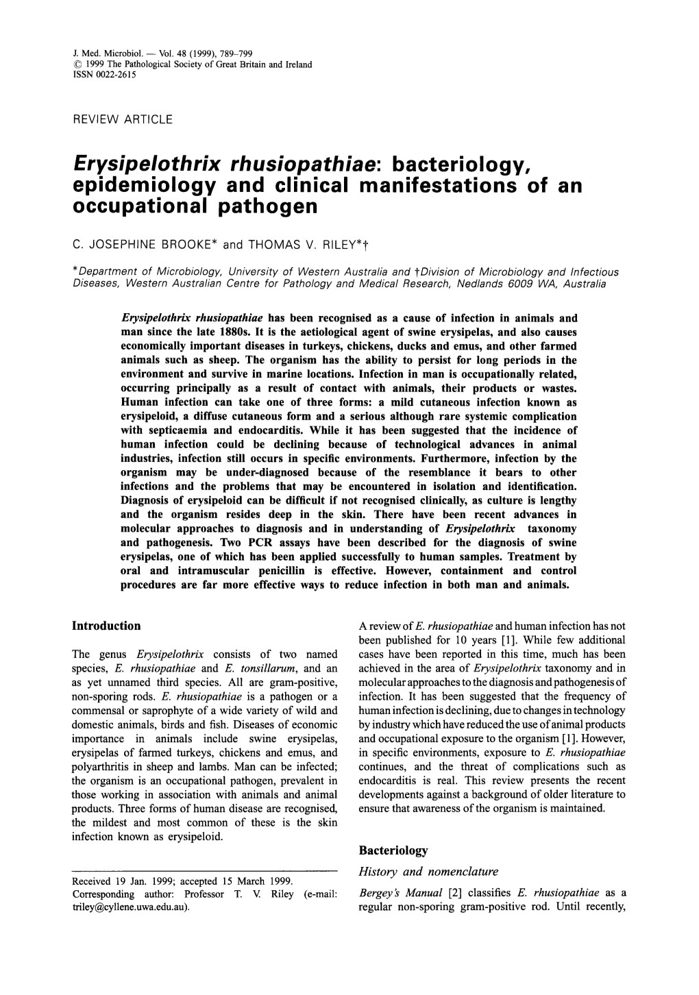 Erysipelothrix Rhusiopathiae: Bacteriology, Epidemiology and Clinical Manifestations of an Occupational Pathogen