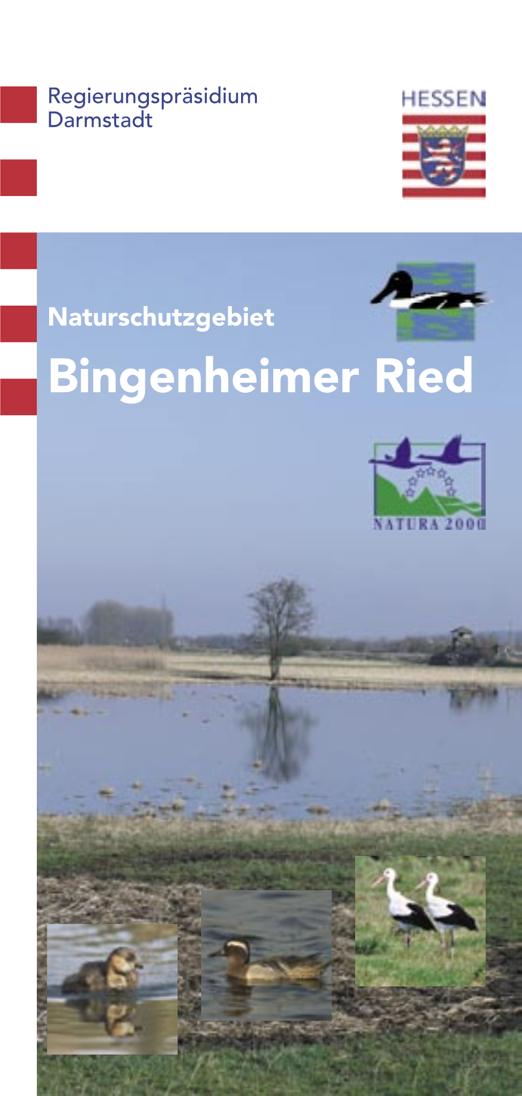 Naturschutzgebiet Bingenheimer Ried Lage Und Geschichte