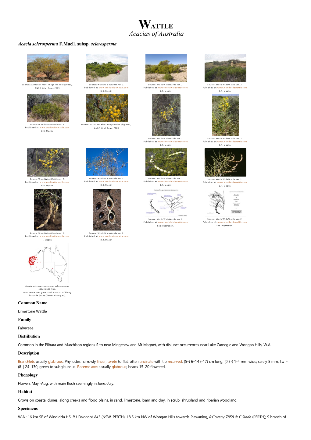 Acacia Sclerosperma Subsp. Sclerosperma Occurrence Map