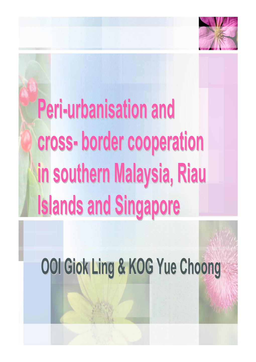 Border Cooperation in Southern Malaysia, Riau Islands and Singapore