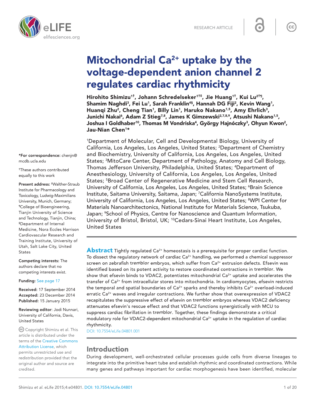 Mitochondrial Ca2+ Uptake by the Voltage-Dependent Anion Channel 2