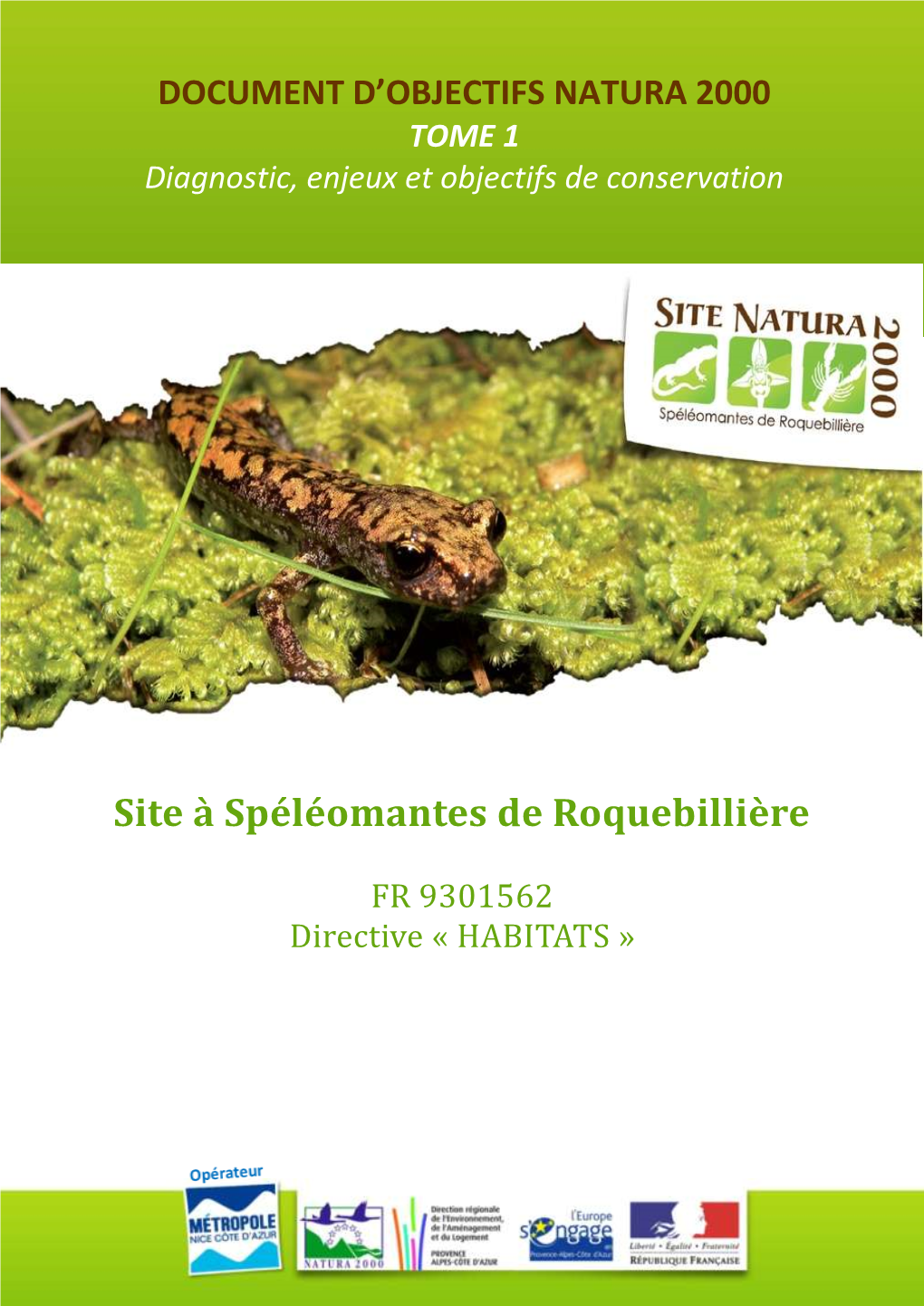 Site À Spéléomantes De Roquebillière