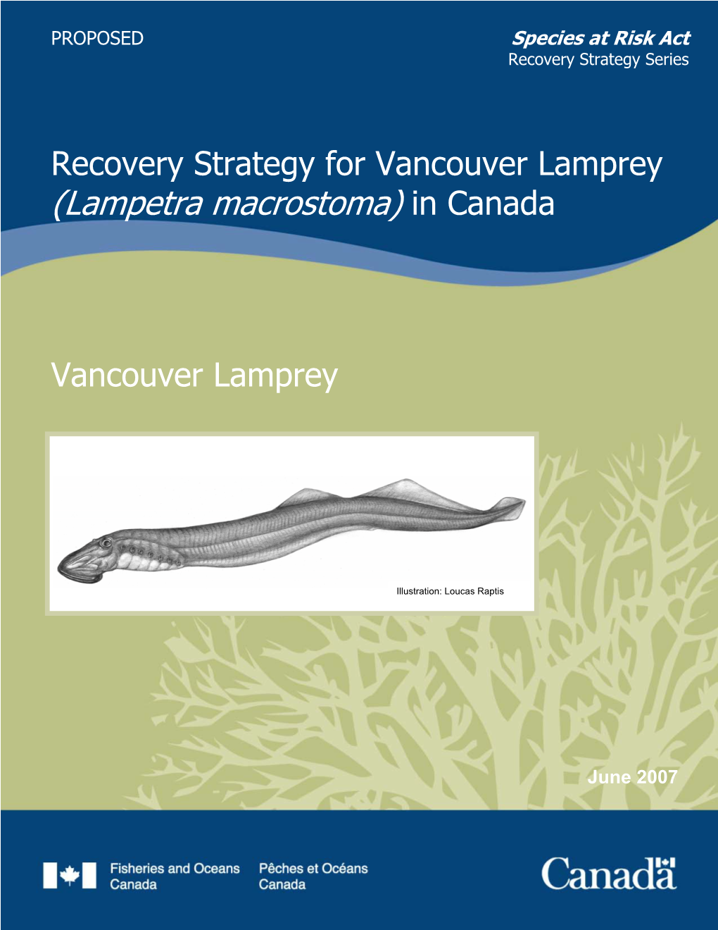 Recovery Strategy for Vancouver Lamprey (Lampetra Macrostoma) in Canada