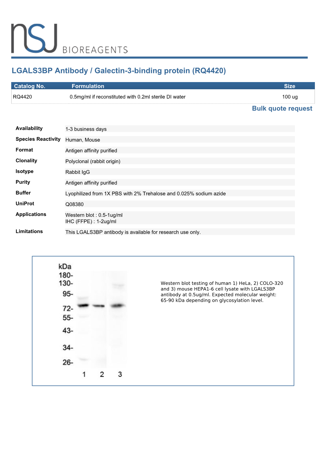 LGALS3BP Antibody / Galectin-3-Binding Protein (RQ4420)