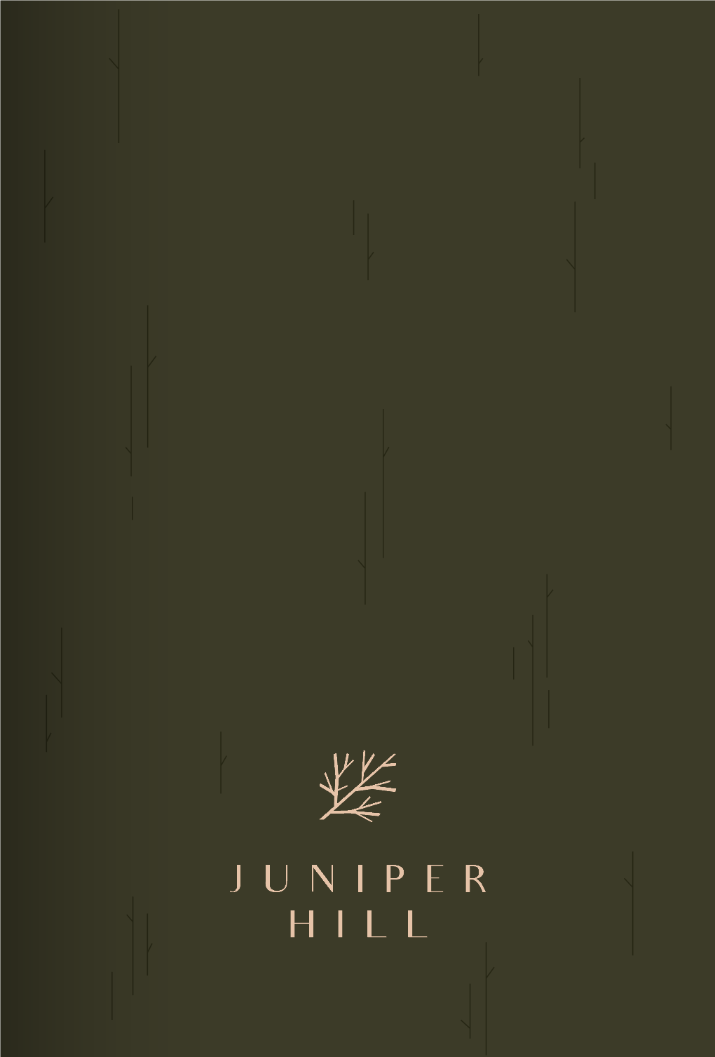 Juniper-Hill-E-Brochure-Singapore.Pdf