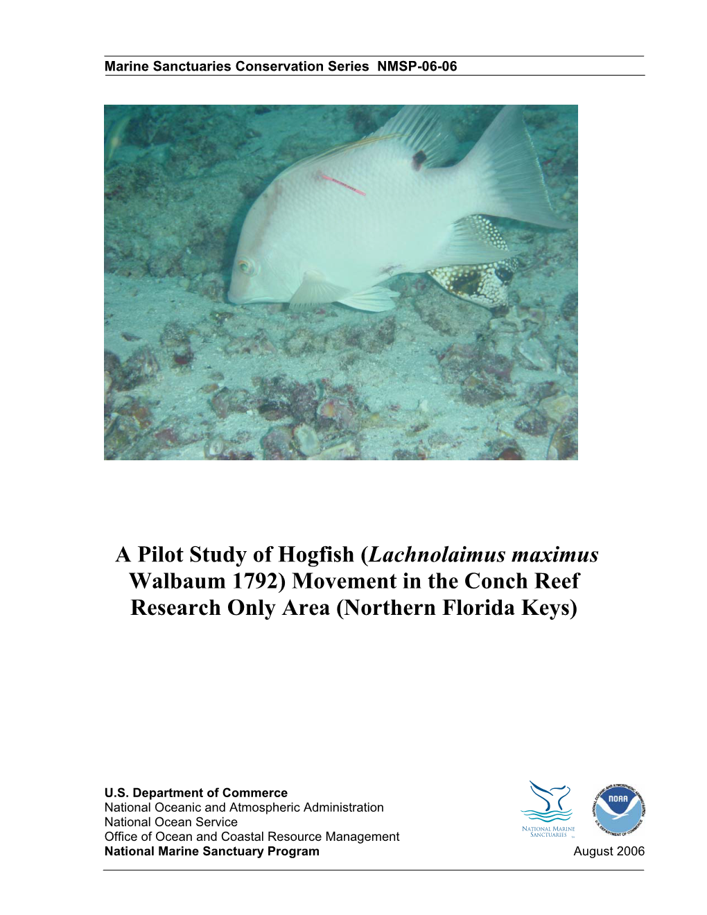A Pilot Study of Hogfish (Lachnolaimus Maximus Walbaum 1792) Movement in the Conch Reef Research Only Area (Northern Florida Keys)
