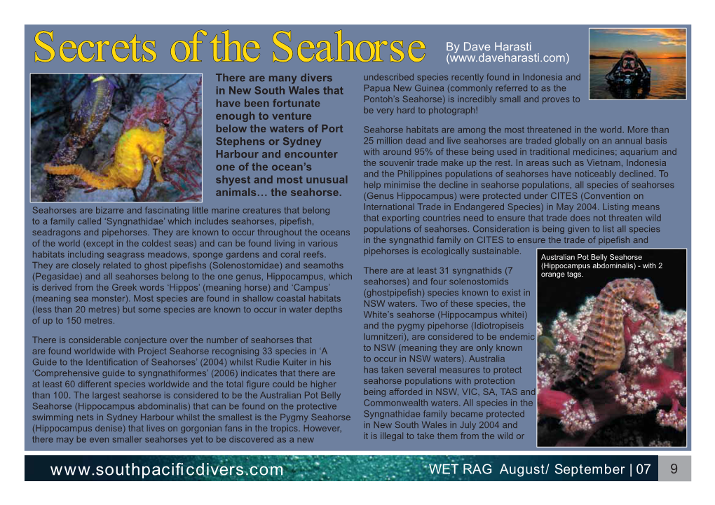 Secrets of the Seahorse by Dave Harasti