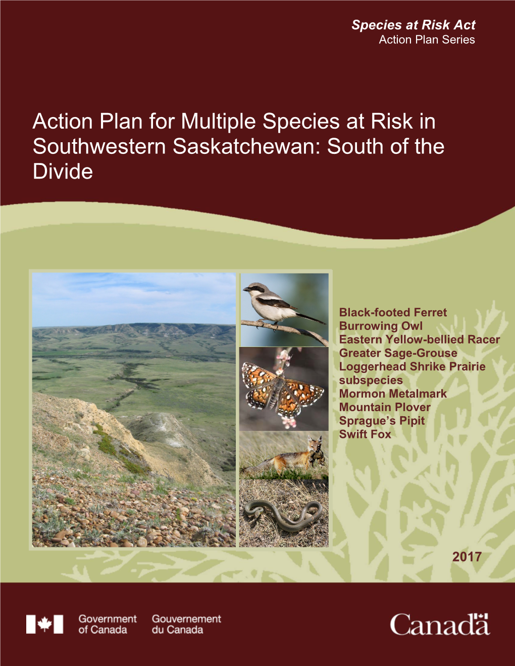 Action Plan for Multiple Species at Risk in Southwestern Saskatchewan: South of the Divide