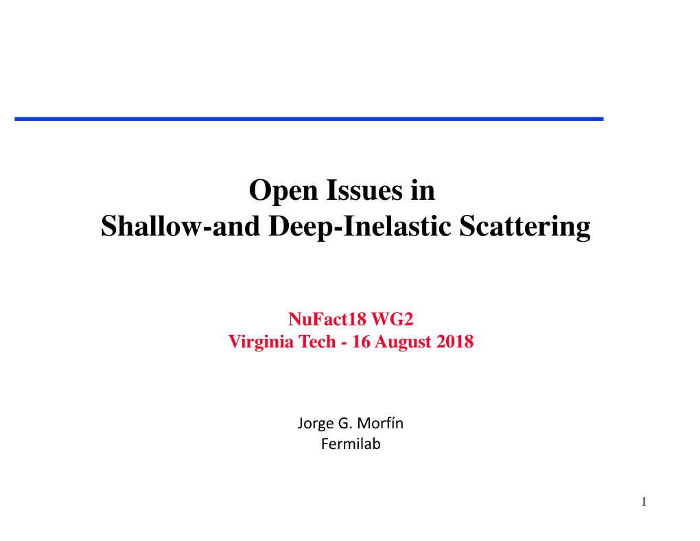 Nufact18-Open SDIS Issues.Pdf