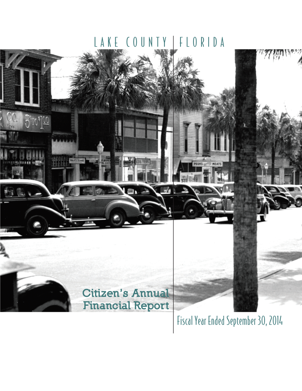 2014 Citizens' Annual Financial Report