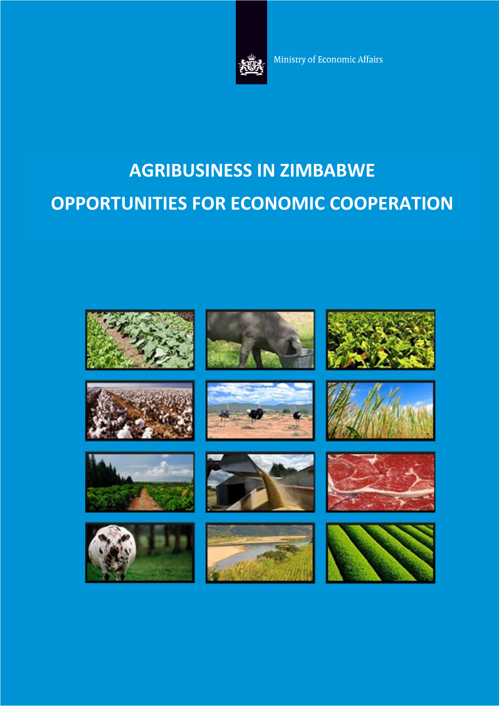 AGRIBUSINESS in ZIMBABWE OPPORTUNITIES for ECONOMIC COOPERATION FOREWORD October 2014