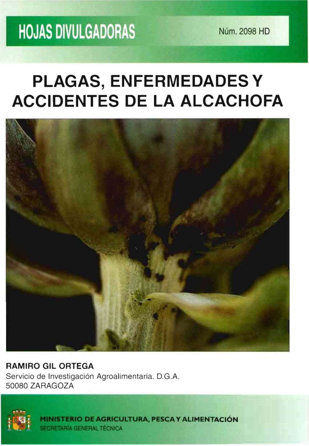 Plagas, Enfermedadesy Accidentes De La Alcachofa