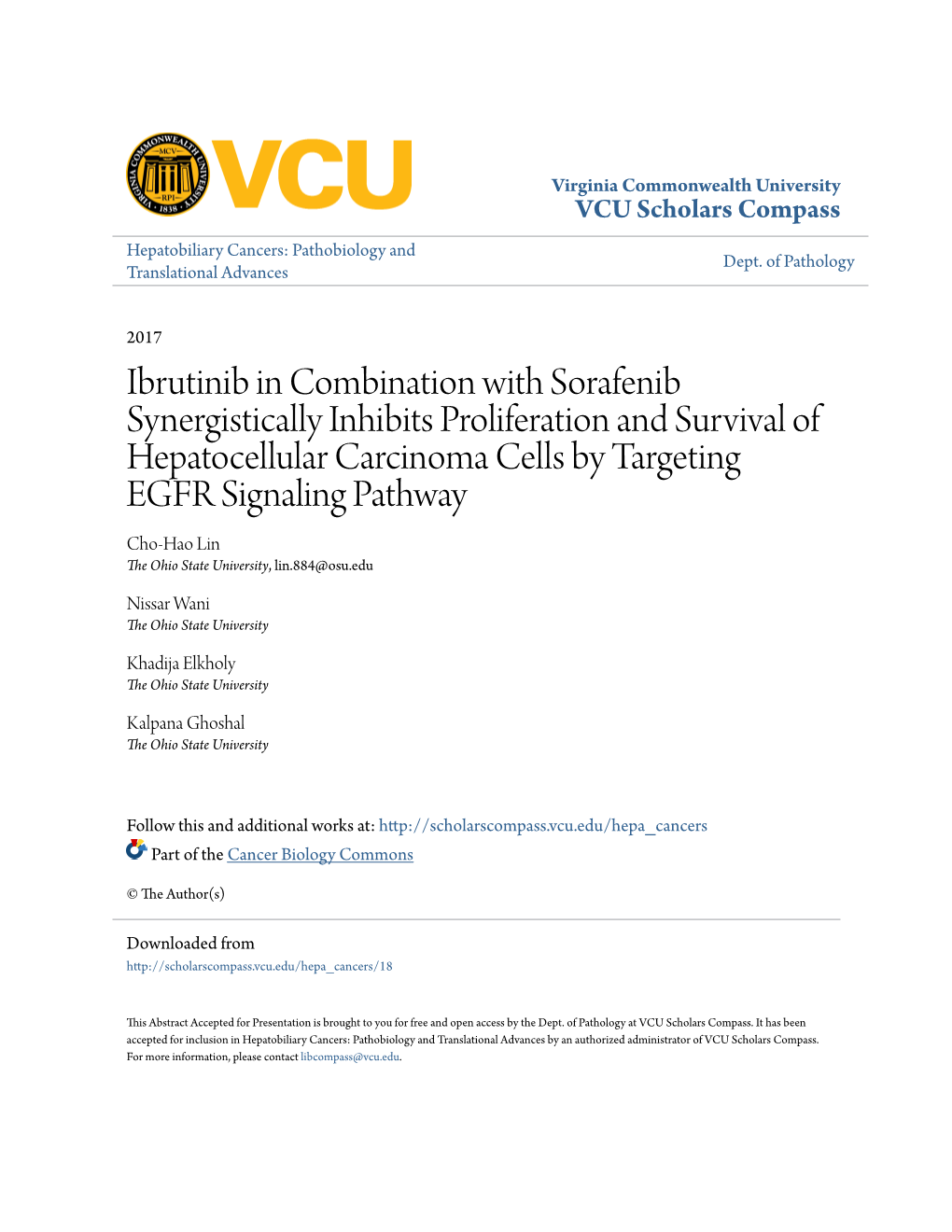 Ibrutinib in Combination with Sorafenib Synergistically Inhibits