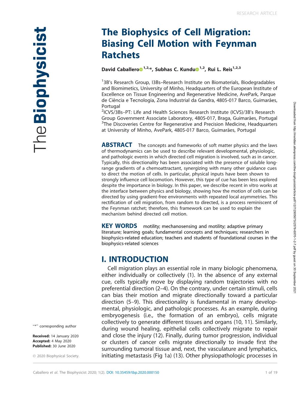 The Biophysics of Cell Migration: Biasing Cell Motion with Feynman Ratchets