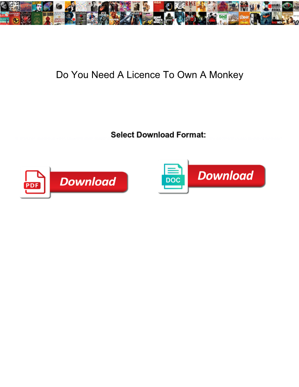 Do You Need a Licence to Own a Monkey