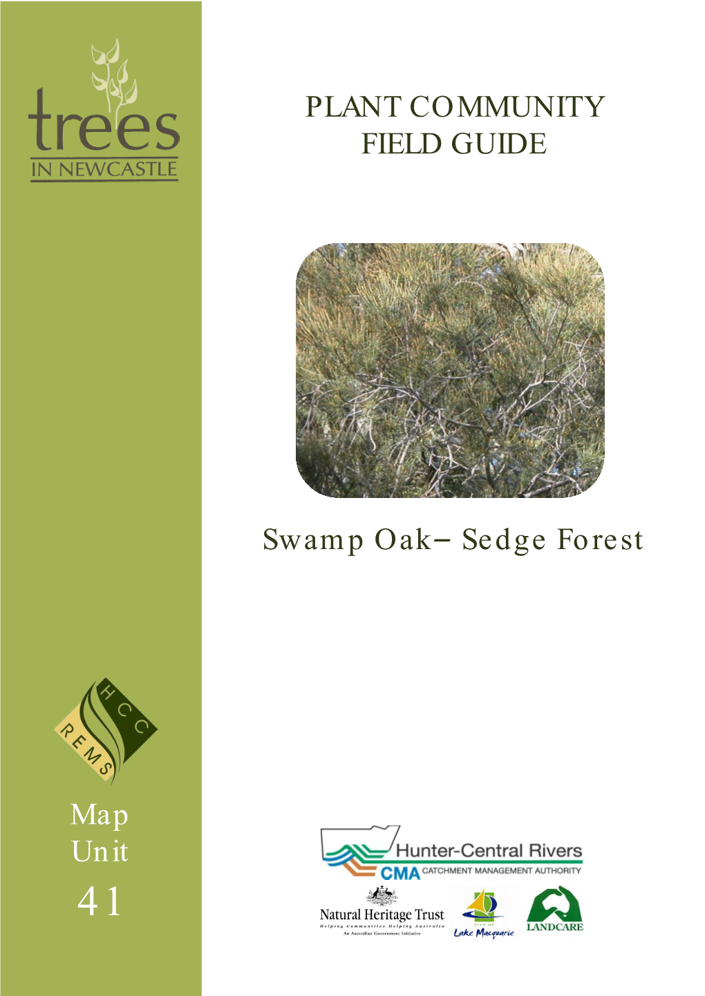 MU 41 Swamp Oak Sedge Forest