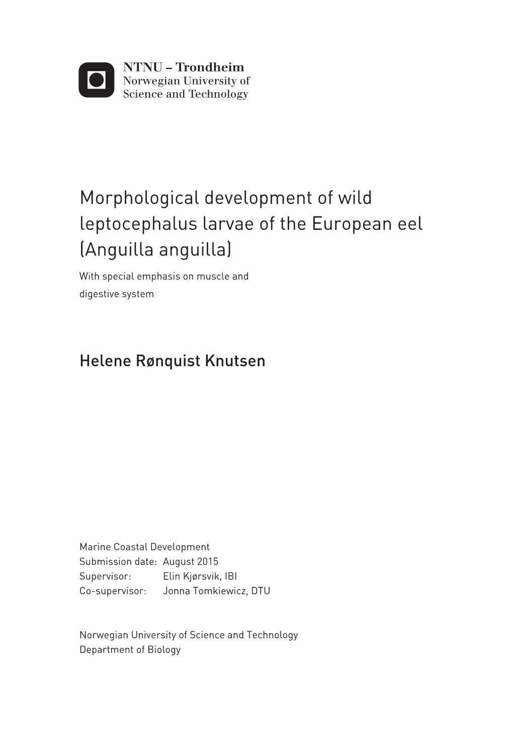 Morphological Development of Wild Leptocephalus Larvae of the European Eel (Anguilla Anguilla)