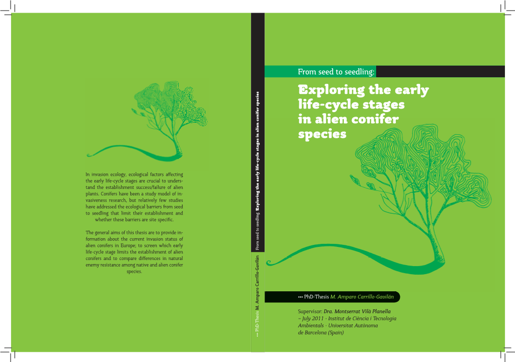 Exploring the Early Life-Cycle Stages in Alien Conifer Species