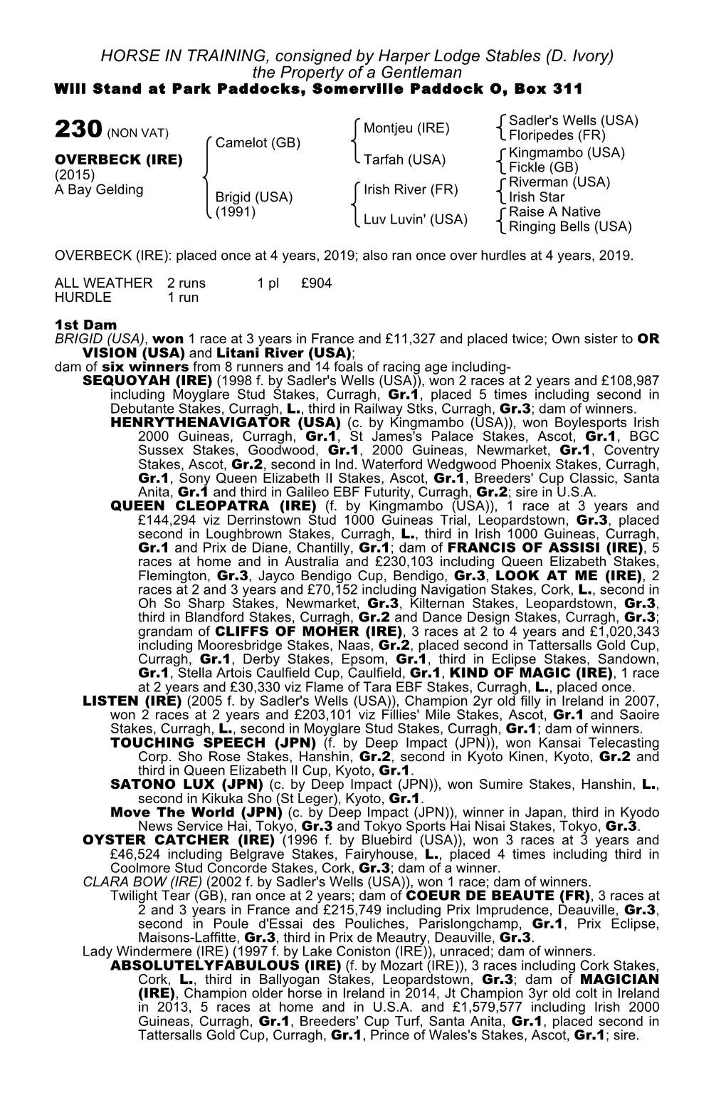 HORSE in TRAINING, Consigned by Harper Lodge Stables (D. Ivory) the Property of a Gentleman Will Stand at Park Paddocks, Somerville Paddock O, Box 311